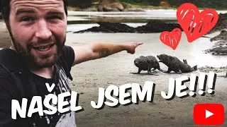 Vlog #020 | Nejroztomilejší video roku??? | Nový Zéland | 2021