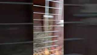 КОГДА КРОЛЬЧИХА НАЧИНАЕТ СТРОИТЬ ЗНЕЗДО