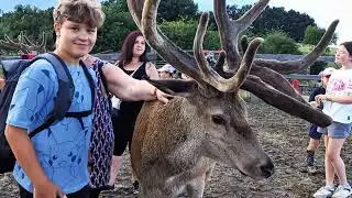 Obora pod Hůrkou Dolní Těšice