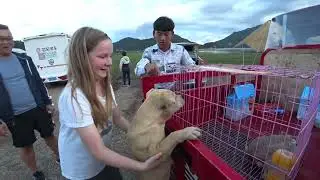 ПО ДОРОГЕ В ШАНГРИ-ЛУ 🚌 НА АВТОДОМЕ ПО КИТАЮ 4 серия