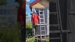 обещал ,что будем больше гулять #смешно #доброеутро #дача #дачнаяжизнь #6соток