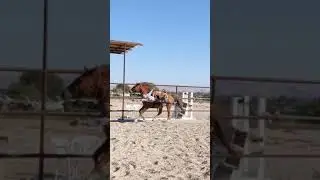 Daredevil 15-year-old - Trick Riding! 