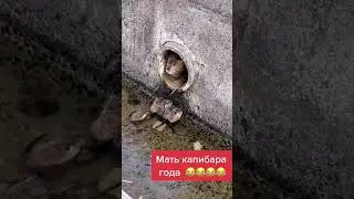 мать года 