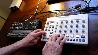 Elektron Model Samples 16  Intelligent dance music  patterns