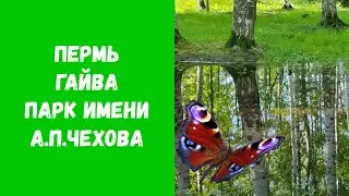 Пермь. Гайва. Парк Чехова. Зарисовка: лето 2022