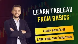 Tableau for Beginners: Understanding the Impact of Labels and Formatting in Data Analysis