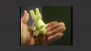 sponge cube bunny