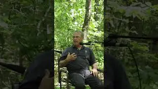 The effect of cicada emergence on poult survival 