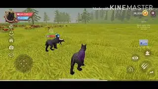 Hunting for spawn code