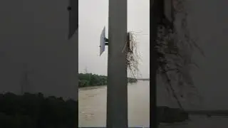 Flood in Delhi 14/07/2023