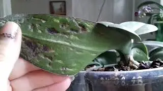 Успешная реанимация, или все кто выжил 😷😉😄