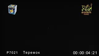салют теремок 25 залпов