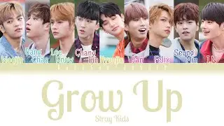 Stray Kids - Grow Up (Eng/Rom/Han) Color Coded Lyrics