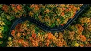 Drone shots with good vibe music #refresh #dji #mini3 #djimini3pro #relaxing #live