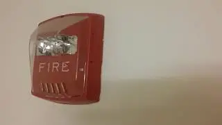 College Bathroom Wheelock STR Fire Alarm