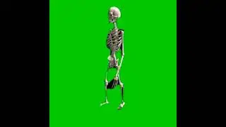 Mentahan Green Screen Tengkorak Jalan ❗