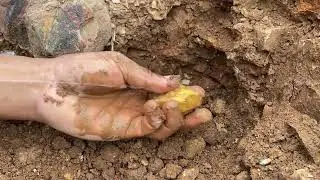Amazing finding Treasure gold used the detector to search