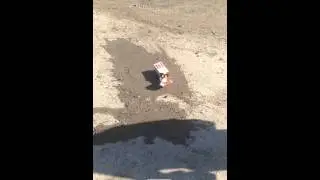 Milk vs Floorball Stick