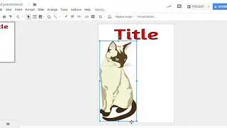 Using Google Slides to Create Flyers and Worksheets