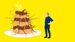 Eating Bugs & The Future of Food: Prof Marcel Dicke, Wageningen