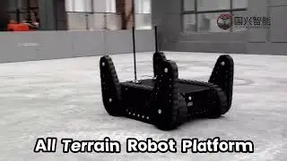 PS1000 all terrain swing arm tracked mobile robot platform solution