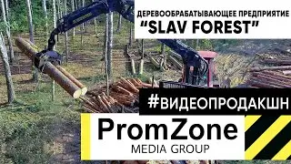 #Slav_Forest