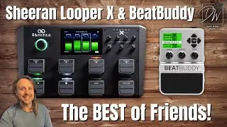 Using Sheeran Looper X With BEATBUDDY - Part 3