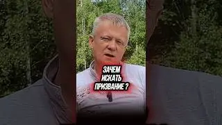 Для чего искать призвание и свою жизнь 