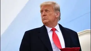 DONALD TRUMP - LOVE ❤️ DONNIE (OFFICIAL VIDEO) @DonaldJTrumpforPresident
