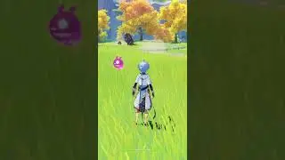 You are out of resin and bored but still want to play genshin Impact 