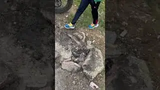 Ну что за красота )