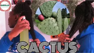 CACTUS for GROWING  LONG Healthy Hair| This is Better than ALOE VERA. Detangle and trap moisture.