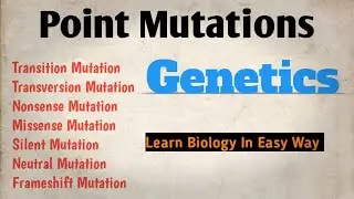 Point mutation and its types || #molecularbiology #biology#bsczoology