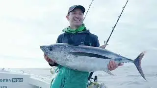 Islands In A Common Sea - Greenfish in South Africa