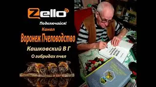 Кашковский В Г о гибридах пчел