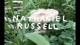 Nathaniel Russell Artist Collection