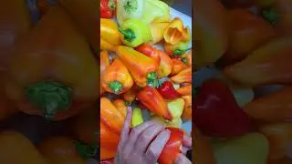 Заморозила свои перчики!!!🌶️🌶️🌶️ I froze my peppers!!!🌶️🌶️🌶️