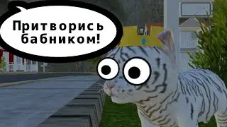 Выполняю ЗАДАНИЯ от ПОДПИСЧИКОВ в cat simulator animal life | симулятор кота жизнь котёнка
