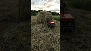 Коротко про дощ. Мотоблок в ділі
