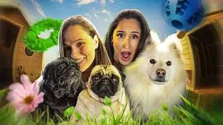 ON ECHANGE NOS CHIENS PENDANT 24H #3 feat 