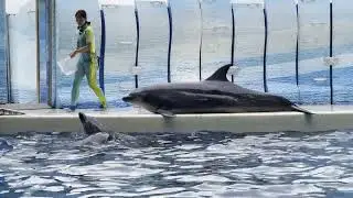 藤澤 新江ノ島水族館