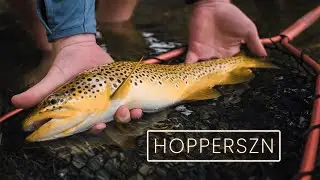 HOPPERSZN | White River Hopper Eat Short (4K/120fps, A7SIII Cinematic)