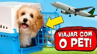 Como VIAJAR com seu PET! 🐶 ✈️ (É mais SIMPLES do que PARECE)