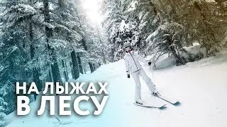Самый дешевый горнолыжный курорт! Болгария с детьми