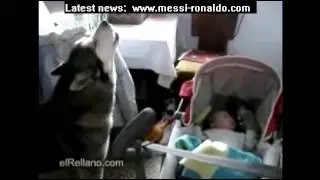 Funny dog singing with the baby