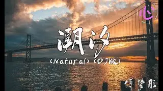 潮汐 (Natural) (DJ版) -  傅梦彤 🎵 蓝色的海底 远山的风景🎵 动态歌词LyricsVideo