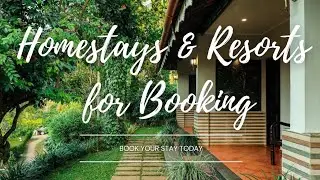 Book Your Perfect Homestay & Resort in Wayanad | Best Deals & Offers