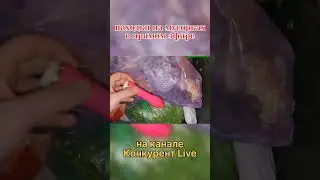 Дилдак из мусорки.