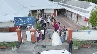 plesel drone
