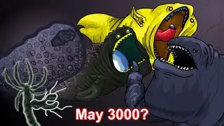 TRUE Evolution of the Bloop  